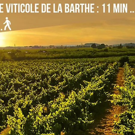Centre Historique -free Parking-wifi-netflix-zen&cosy-sleepntripbeziers Lägenhet Béziers
