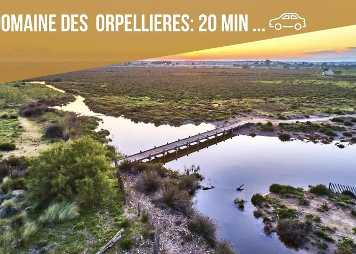 Centre Historique -free Parking-wifi-netflix-zen&cosy-sleepntripbeziers アパート *