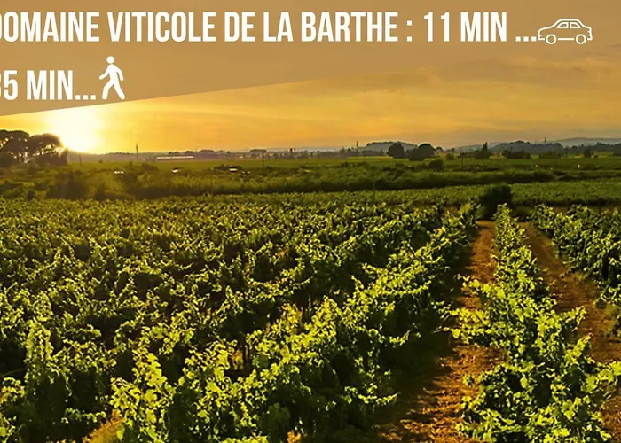 Centre Historique -free Parking-wifi-netflix-zen&cosy-sleepntripbeziers Apartamento Béziers